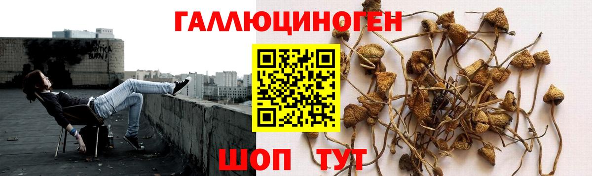 Псилоцибиновые грибы Magic Shrooms Крымск